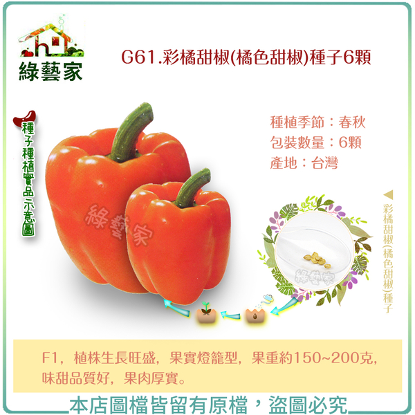 【綠藝家】G61.彩橘甜椒(橘色甜椒)種子6顆
