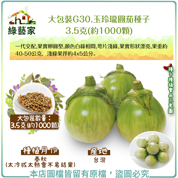 【綠藝家】大包裝G30.玉玲瓏圓茄種子3.5克(約1000顆) 泰國茄子 (一代交配，果實卵圓型)