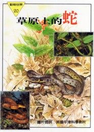 書立得-草原上的蛇 | 拾書所