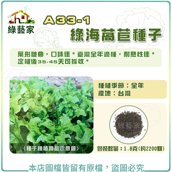 【綠藝家】A33-1.綠海萵苣種子1.8克(約2200顆)Batavia 不結球萵苣