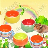 倉鼠食盆水果色陶瓷碗卡通松鼠金絲熊食物碗寵物碗飼料盆倉鼠用品
