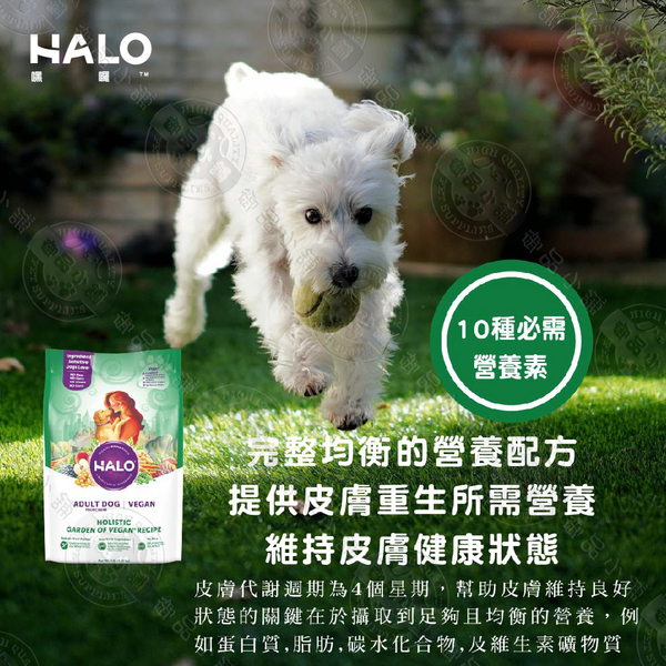 [送贈品] 嘿囉 HALO 36026 成犬 低敏舒膚豌豆燉鷹嘴豆 犬乾糧 4LB 狗飼料 改善皮膚問題 product thumbnail 3