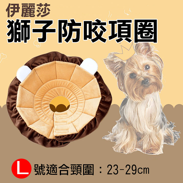 鼎鴻 伊莉莎白防咬項圈-獅子款 L號 中小型犬 防抓咬舔 安全耐用 方便舒適寵物美容脖子頭套