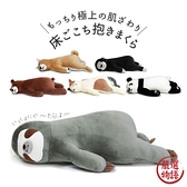 【現貨】動物抱枕 樹懶 大熊 三花 柴犬 猩猩 抱枕 絨毛玩具 枕頭 靠墊 玩偶 娃娃 枕頭 午睡枕 SF-S5