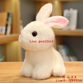 仿真兔子毛絨玩具韓國可愛兔兔公仔小白兔玩偶少女心娃娃【齊心88】