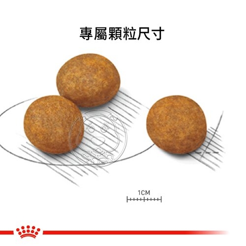 【培菓幸福寵物專營店】SHN 法國新皇家飼料《大型幼犬MXP》4KG(超取限1包) product thumbnail 4