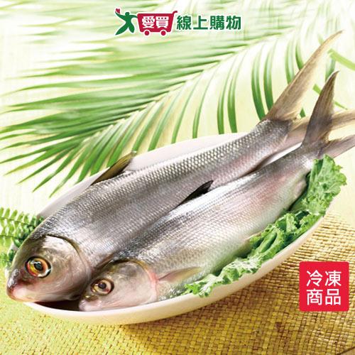 台灣虱目魚500~600G/尾【愛買冷凍】