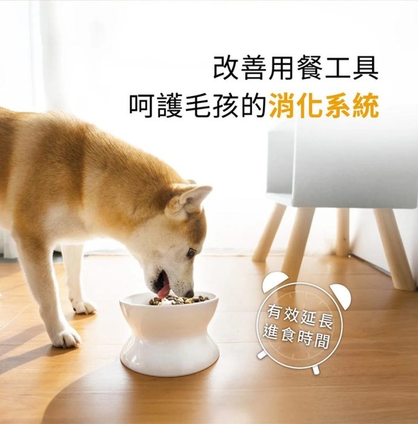 HeroMama 貓犬雙面呵護慢食碗 | 一體成型無死角 清洗更簡單『寵喵樂旗艦店』 product thumbnail 3