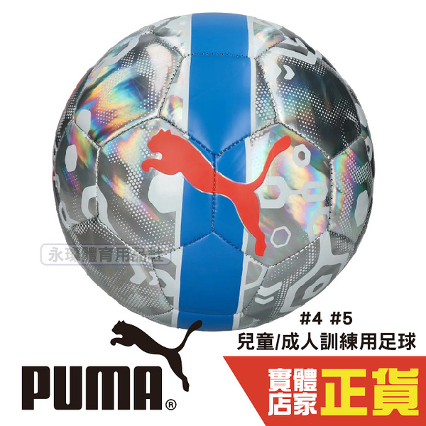 Puma 兒童 成人 4號球 5號球 訓練 足球 童趣 遊戲 運動 銀藍 08407501