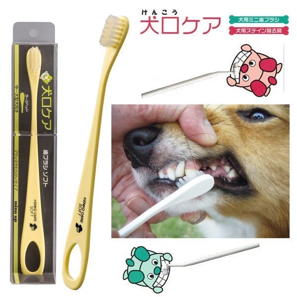 『寵喵樂旗艦店』日本Mind Up《軟毛牙刷(黃色)-中小型犬用》B01-004 適合牙齦較脆弱的狗狗 product thumbnail 3