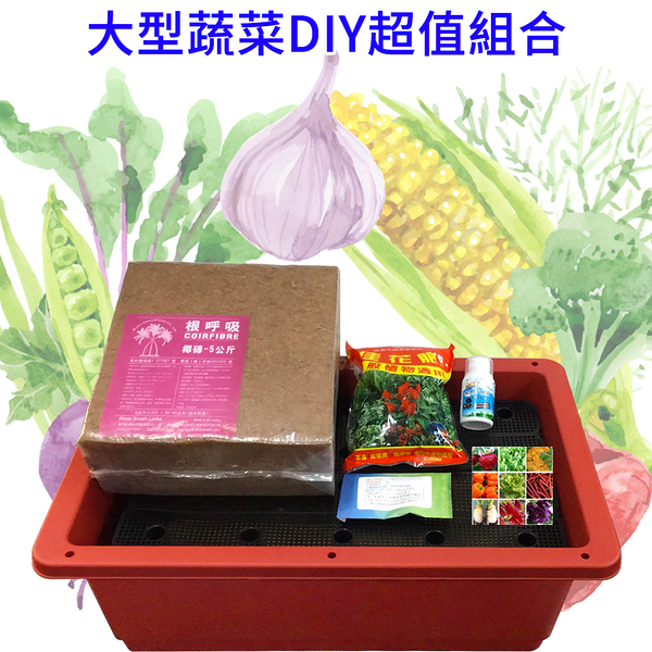 【綠藝家】大型蔬菜DIY超值組合(型號Y01A)