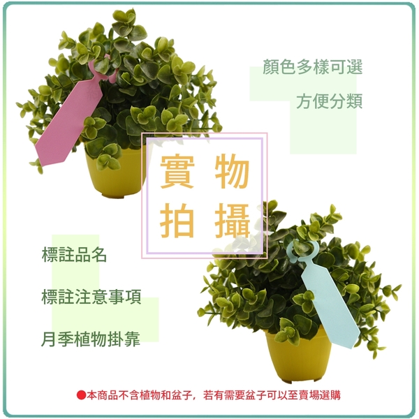 【綠藝家】馬卡龍吊牌(共6色可選) 掛牌.植物名牌.花牌.樹牌 product thumbnail 2