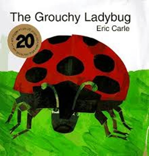 (二手書)Grouchy Ladybug