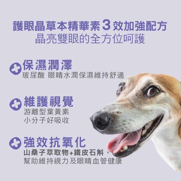 IN-PLUS 贏犬用保健食品 眼睛保健 護眼晶草本精華素三效加強配方 40g 狗保健品『寵喵樂旗艦店』 product thumbnail 3