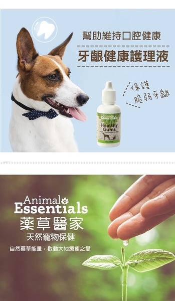 ANIMAL ESSENTIALS藥草醫家 - 寵物牙齦健康護理液 30『寵喵樂旗艦店』 product thumbnail 3