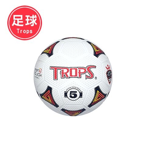 SUCCESS 成功 TROPS 特波士 NO.40252 5號彩色足球