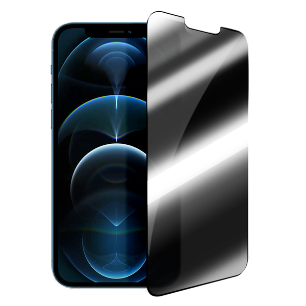 ACEICE for iPhone 12 Pro Max 6.7吋 亮面/霧面磨砂 防窺滿版玻璃保護貼-黑 請選款式