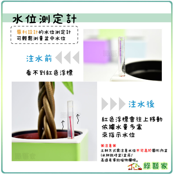 【綠藝家】仿瓷水立方儲水花盆套組(附水位測定計)(共7色可選) product thumbnail 2