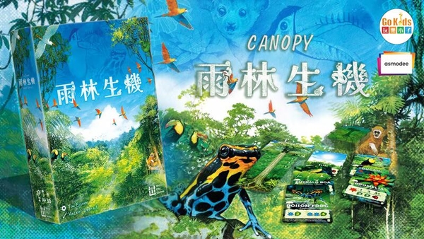 『高雄龐奇桌遊』 雨林生機 Canopy 繁體中文版 正版桌上遊戲專賣店 product thumbnail 2