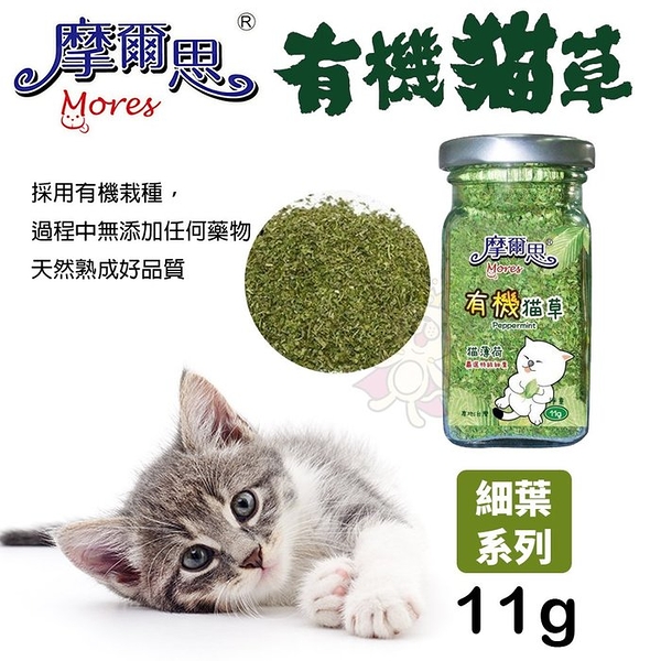 MORES 摩爾思 頂級貓薄荷 有機貓草(細葉)11g 有機栽種 貓草 貓零食『寵喵樂旗艦店』