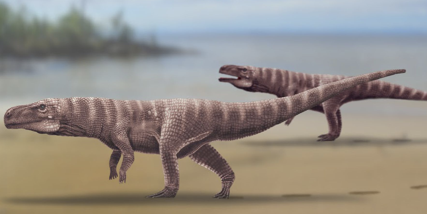 Prehistoric Crocodiles Might Have Walked On Two Legs - roblox reportno mobile