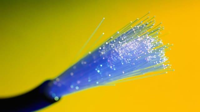 Fiber Optics