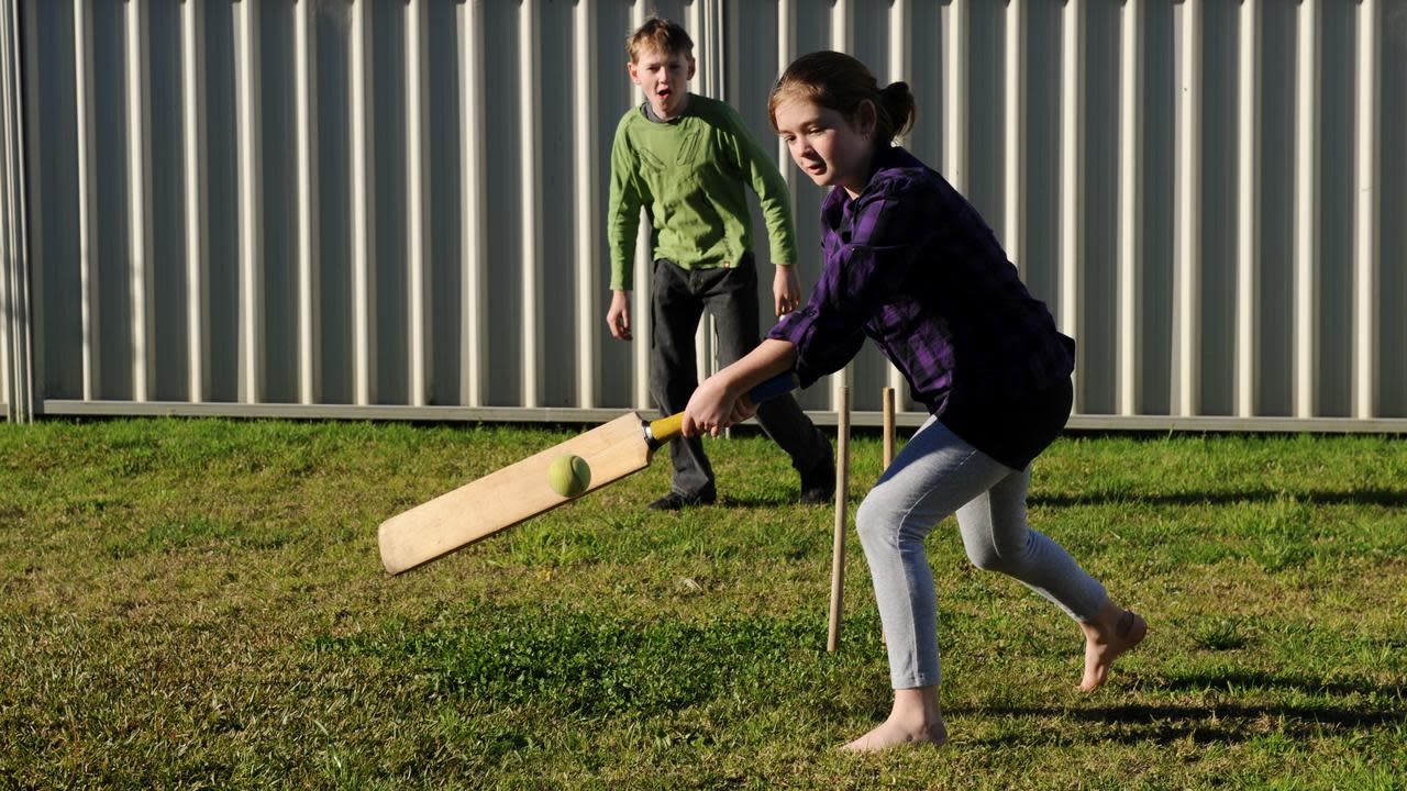 Bamboo cricket bat 'a batsman's dream'