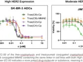 Lantern Pharma Advances Unique ADC (Antibody Drug Conjugate) Program Across Multiple Solid Tumor Cancers