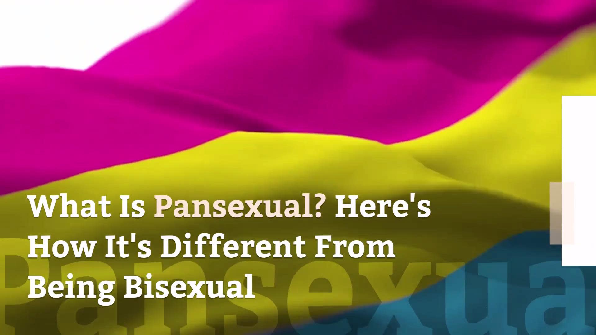 Pansexual what is What Is