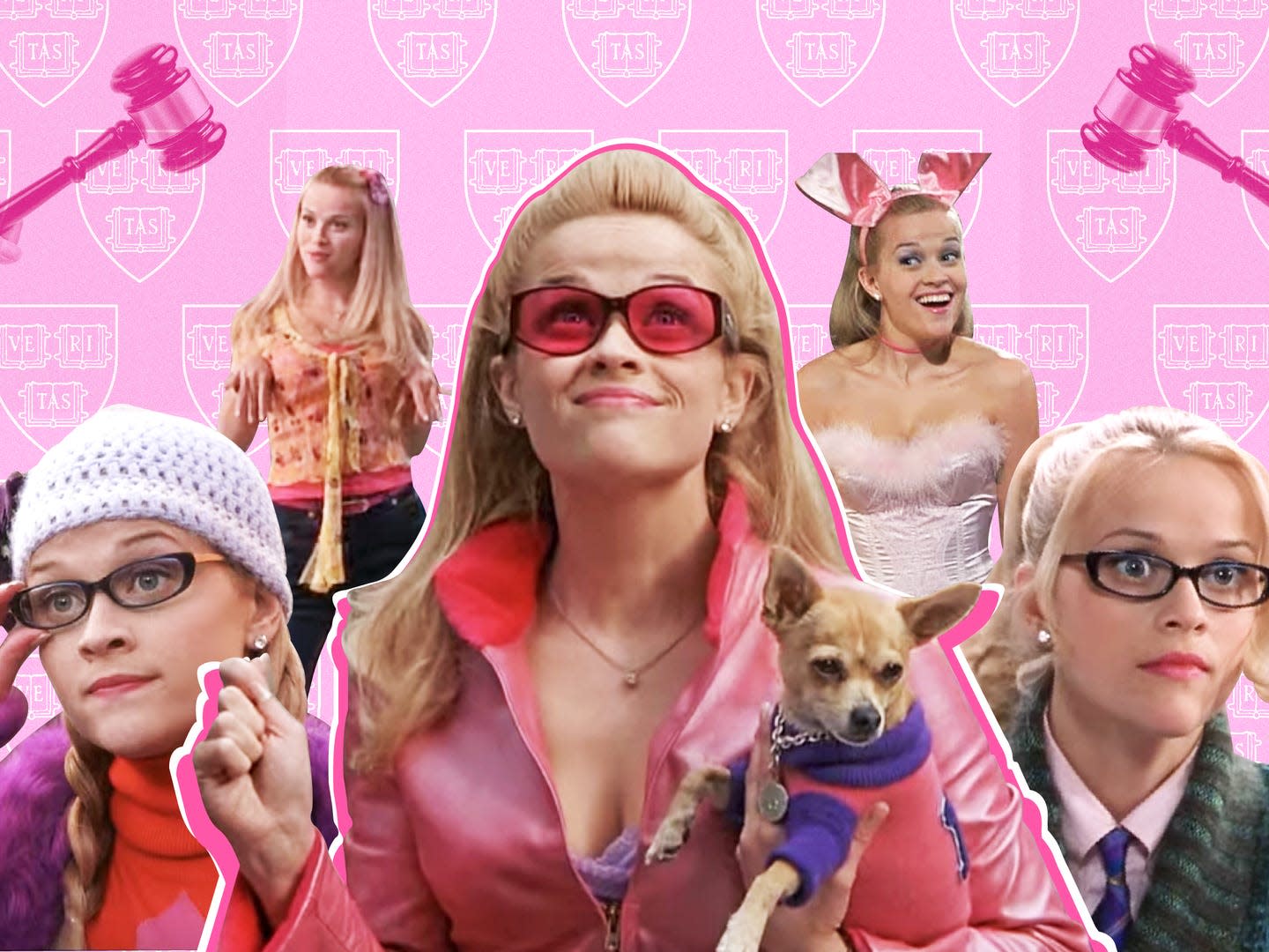 Legally Blonde At 20 The Cast And Crew Break Down Why Elle Woods Remains One Of The Best 8391