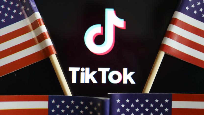 U.S. flags are seen near a TikTok logo in this illustration picture taken July 16, 2020. REUTERS/Florence Lo/Illustration