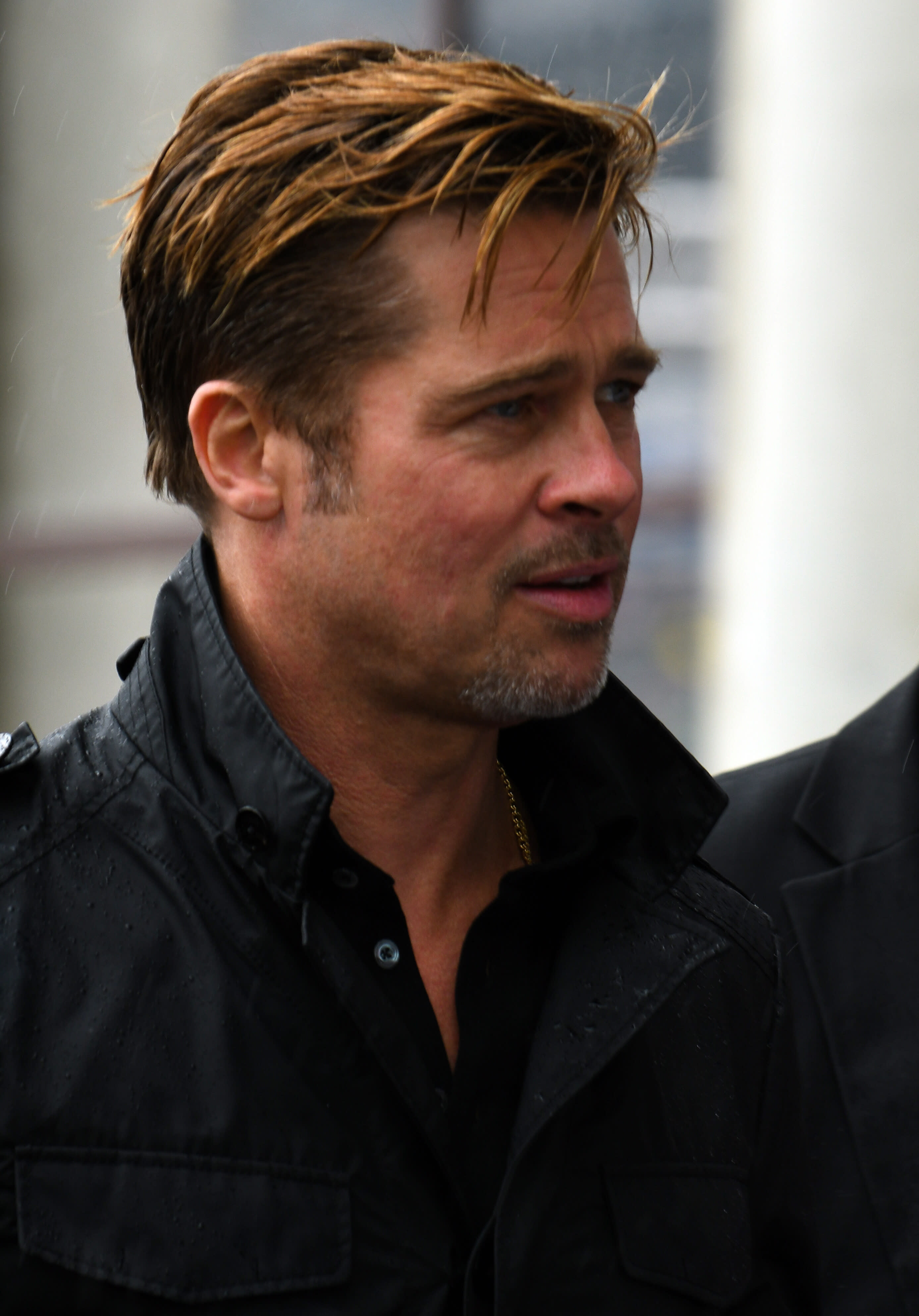 Not that it matters but Brad Pitt's now the victim of plastic surgery rumors