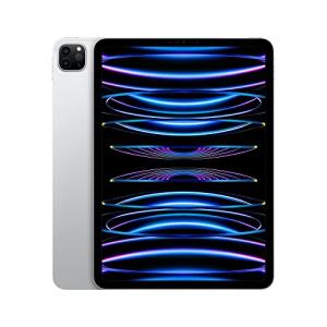 2022 Apple 11-inch iPad Pro