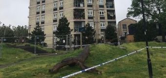 
Six-year-old boy falls to death from 15th floor of tower block