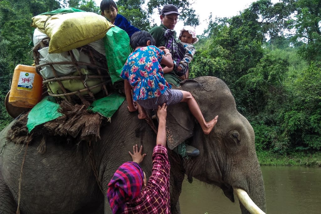 Working elephant. Traditional Elephant Myanmar left right. Traditional Elephant Myanmar.