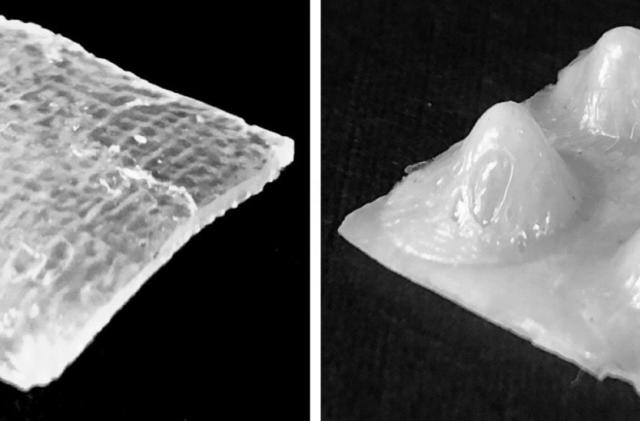 3D-printed shapeshifting material