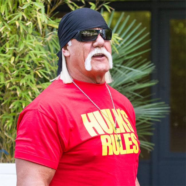 enke cykel Mål Hulk Hogan's sex tape scandal 'ruined' Bubba the Love Sponge's life