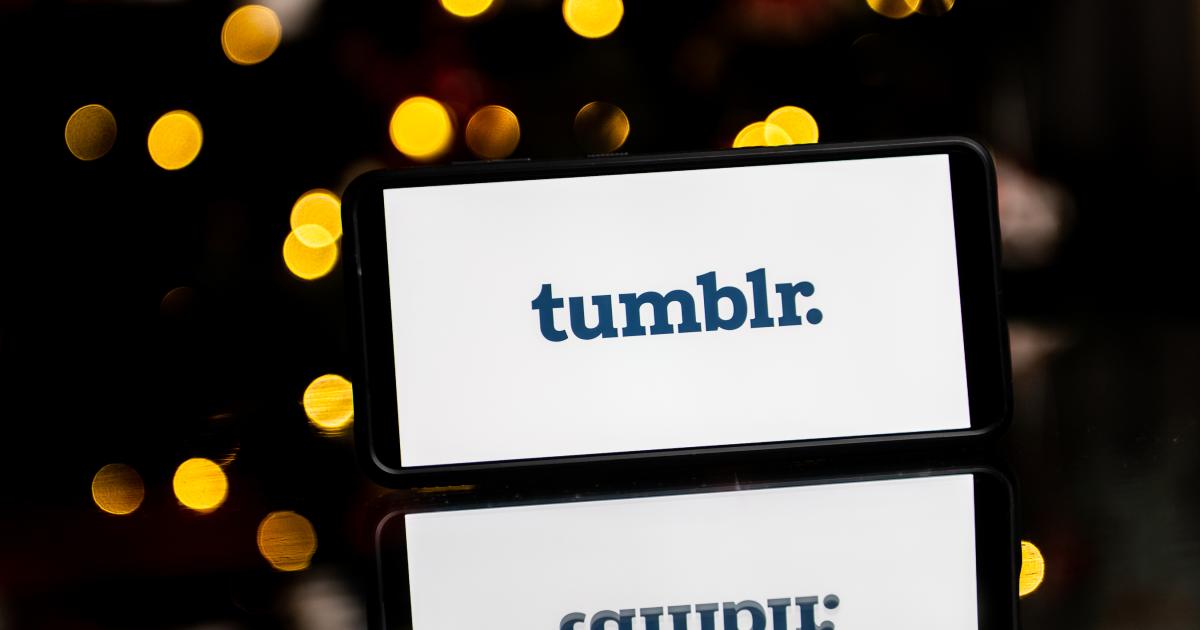 Tumblr está creando un feed inspirado en TikTok en un esfuerzo por aumentar su base de usuarios
