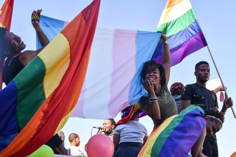 Botswana Court Hears Bid To Scrap Anti Gay Laws