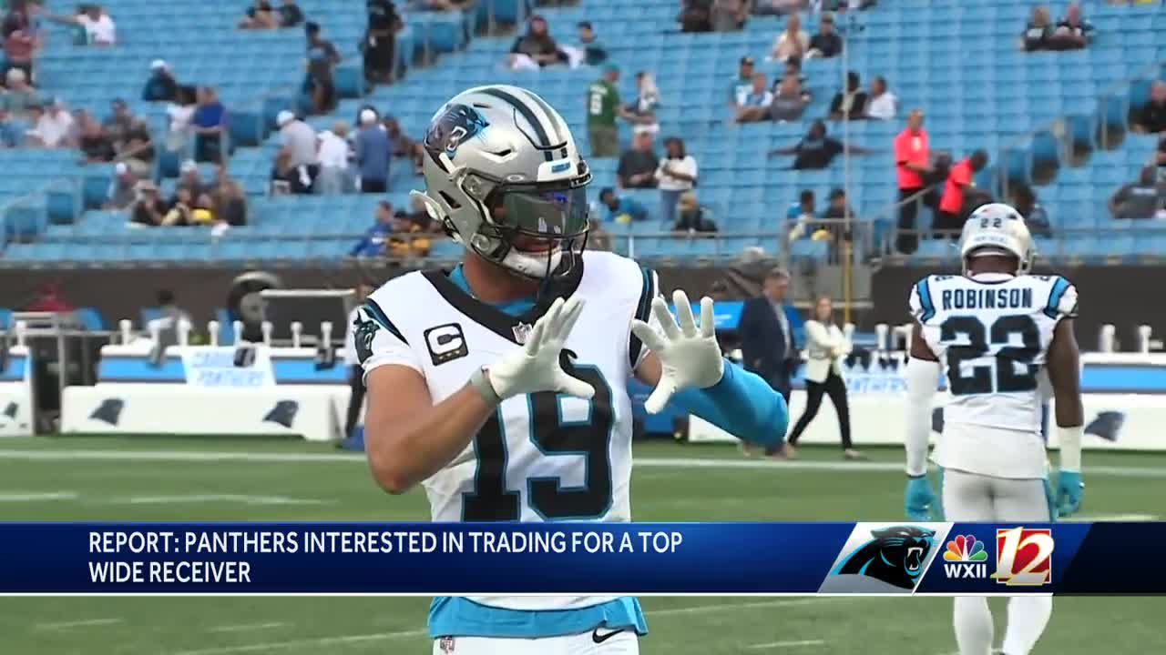 Panthers vs. Lions Week 11 Highlights