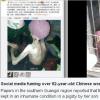 Cina, indignazione per 92enne rinchiusa per anni in una porcilaia