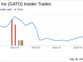 CEO Dale Andres Buys 25,000 Shares of Gatos Silver Inc