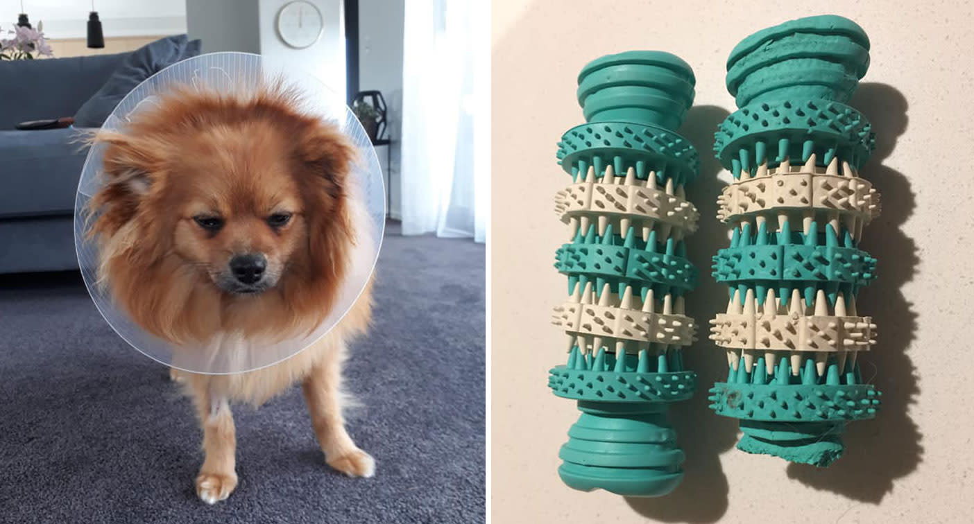 kmart dog toys