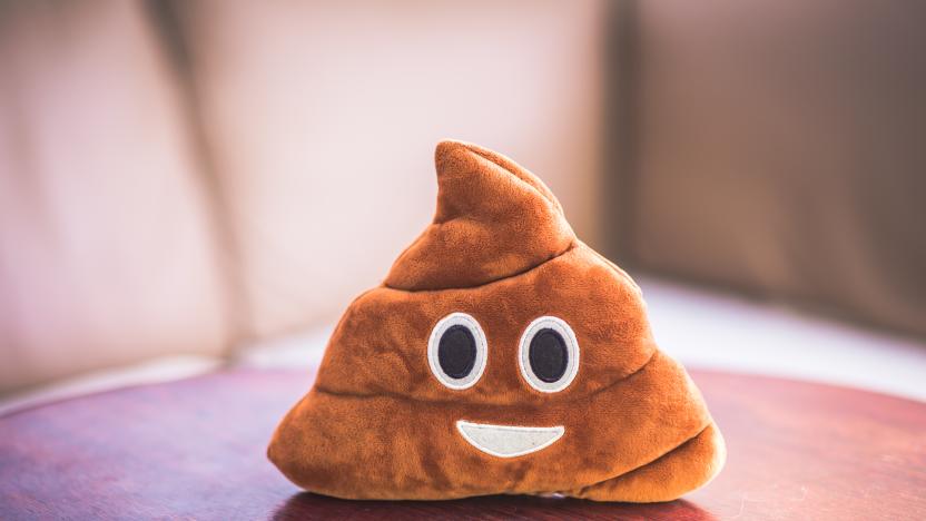 Poop emoji pillow, funny concept, fluffy plush toy, nice bright photograph.
