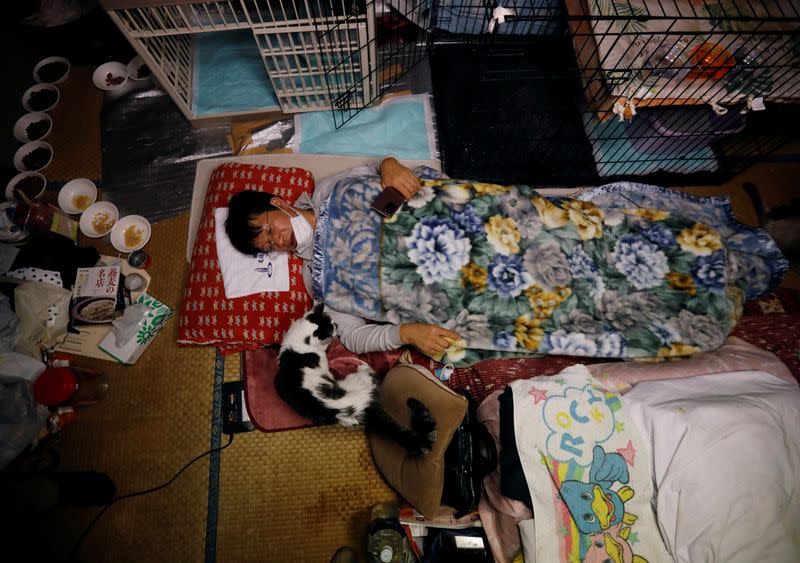 The man who rescues forgotten cats in the Fukushima nuclear zone