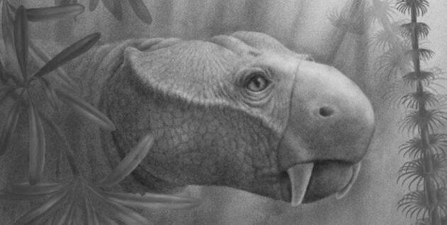 Photo of Les paléontologues retracent l’évolution des canidés en créatures de la période triasique