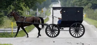 ¿Qué podemos aprender de los Amish sobre el coronavirus?
