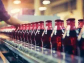 Is The Coca-Cola Company (KO) Best Performing Dow Stock in 2024?