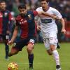 Genoa-Carpi 1-2: Pavoletti la combina grossa, Zaccardo punisce il Grifone