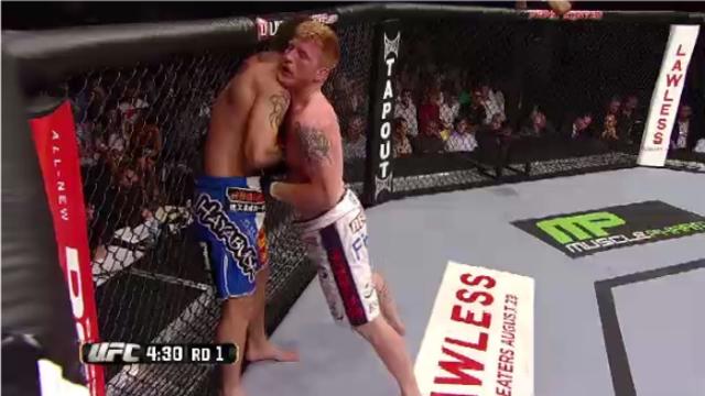 UFC 150 highlights: Shields vs. Herman